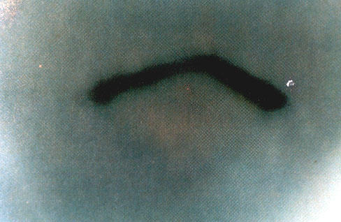 Rys. #11a: Komora oscylacyjna UFO sfotografowana podczas dominacji strumienia wewnętrznego